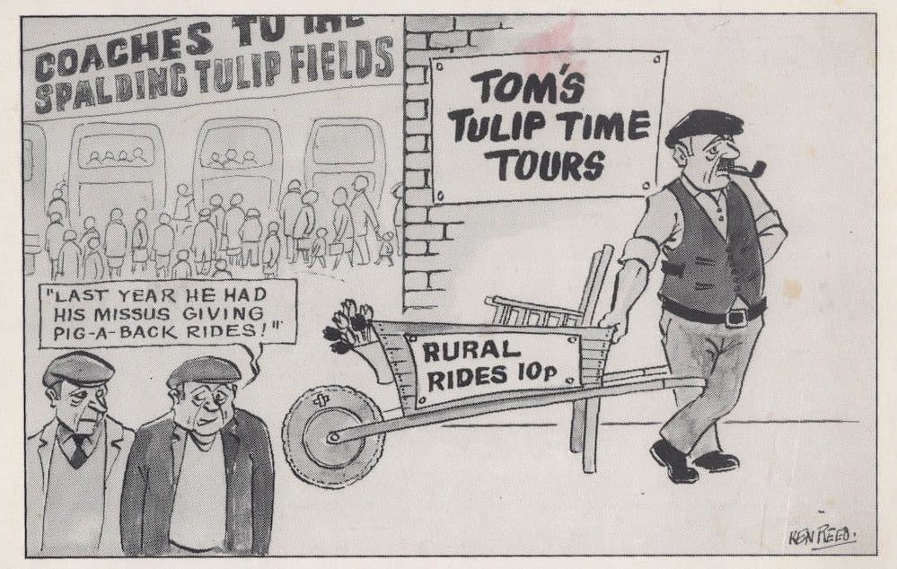 Spalding Flower Parade Tulip Rides Wheelbarrow Lincoln Comic Postcard