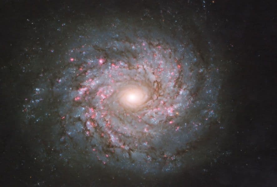 Spiral Galaxy NGC 3982 Ursa Major Constellation Milky Way Postcard