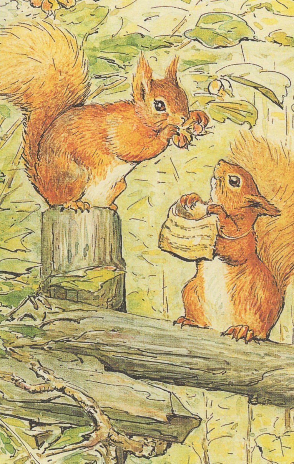 Squirrels Collecting Nuts The Tale Of Squirrel Hopkins 1903 Book Postcard