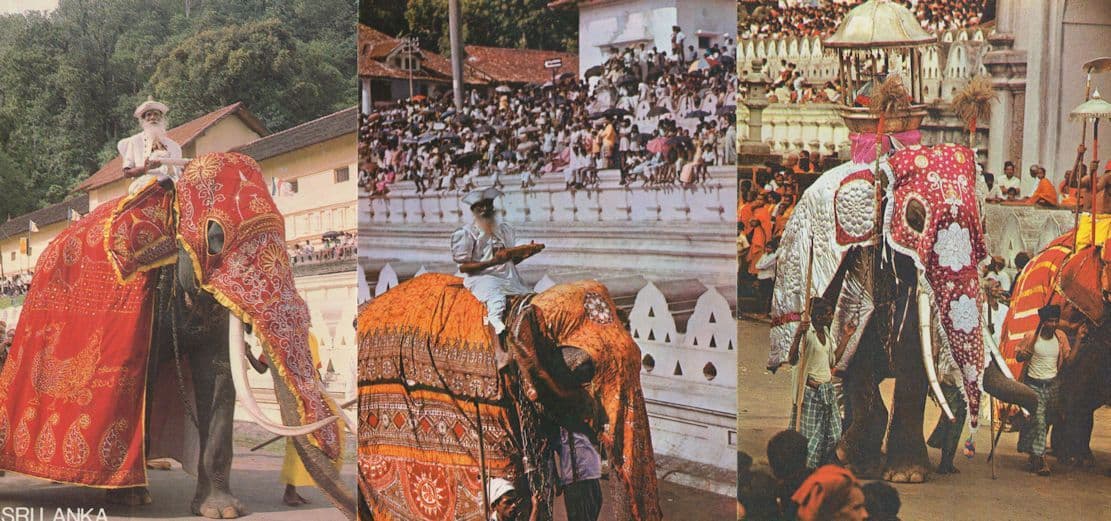 Sri Lanka India 3x Stunning Elephant Procession Carnival Postcard s