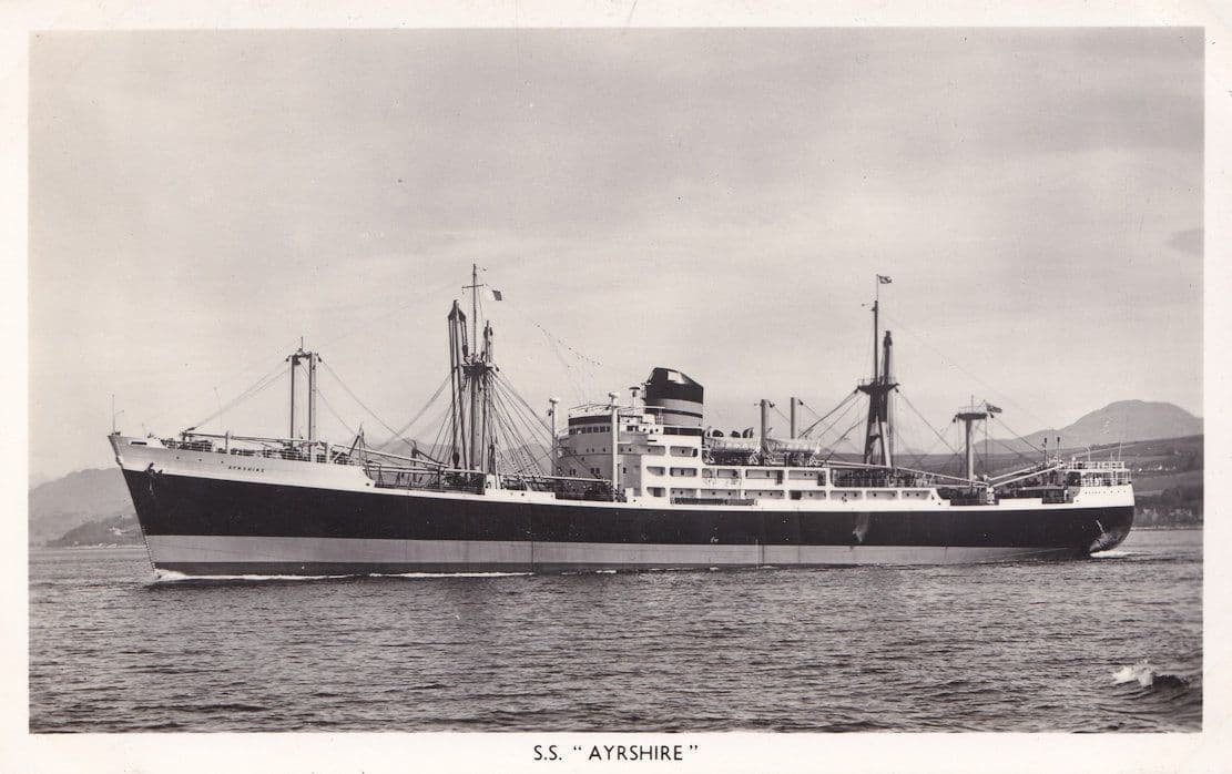 SS Ayrshire Scottish Shire Line Ship Plain Back Postcard Photo