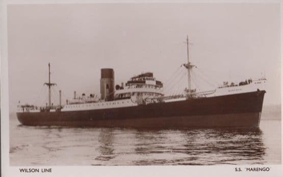 SS Marengo Wilson Line Ship Liner Vintage Postcard