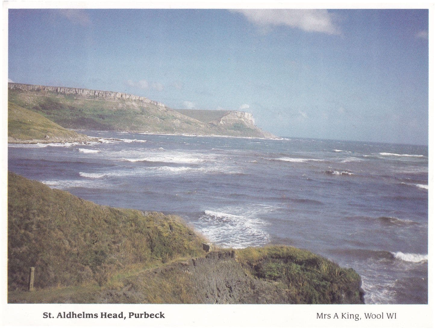 St Aldhelms Head Purbeck Dorset Postcard