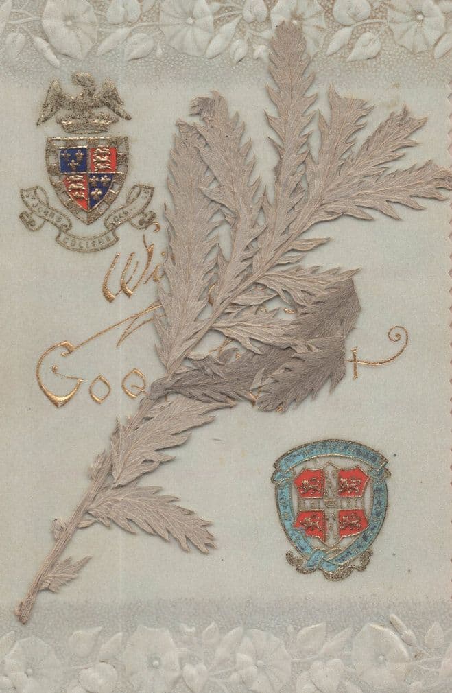 St Johns College Cambridge Antique Card & Cambs Flower