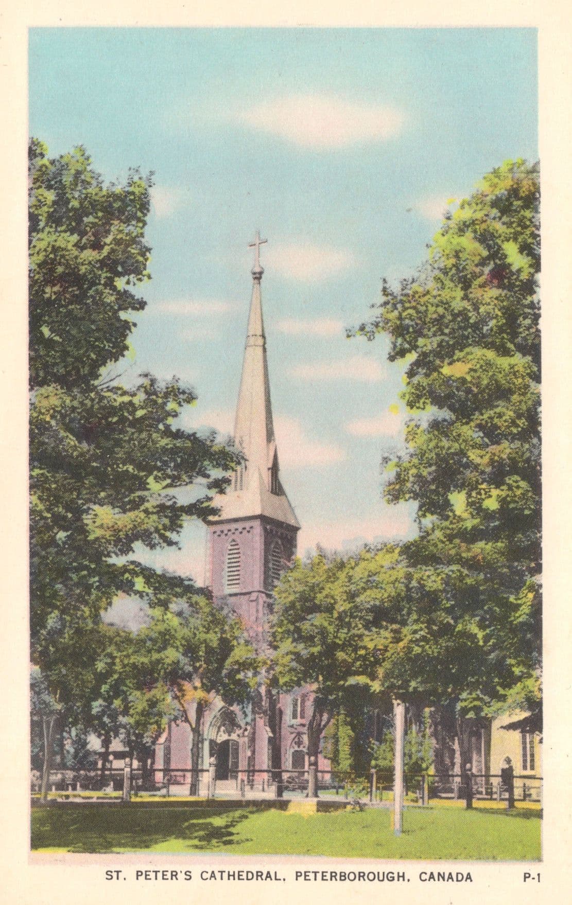 St Peters Cathedral Peterborough Ontario Canada Antique Postcard