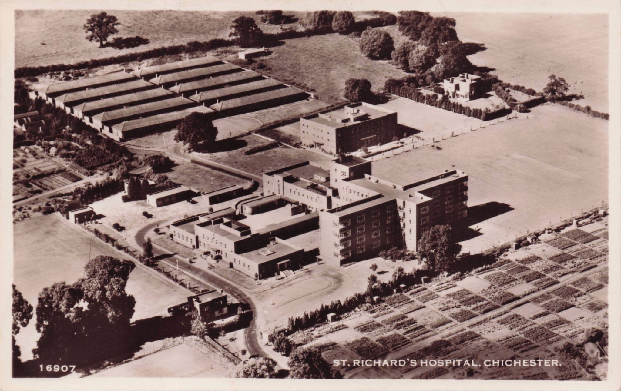 St Richards Hospital Sussex Stunning Aerial Antique Photo Postcard