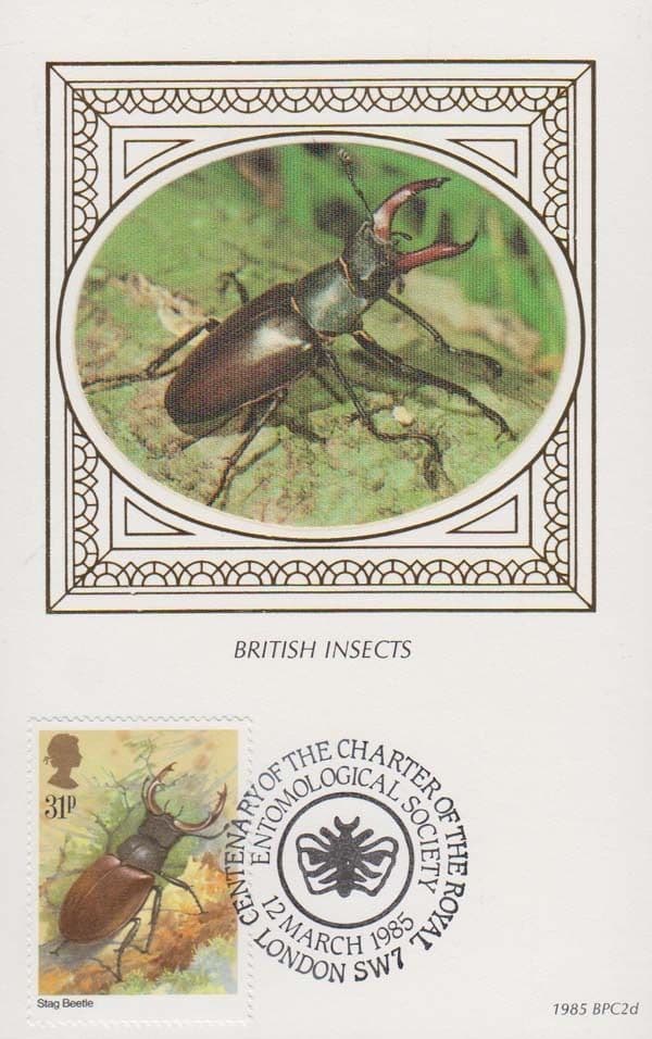 Stag Beetle Beetles British Insects Insect London Charter Benham First Day Cover