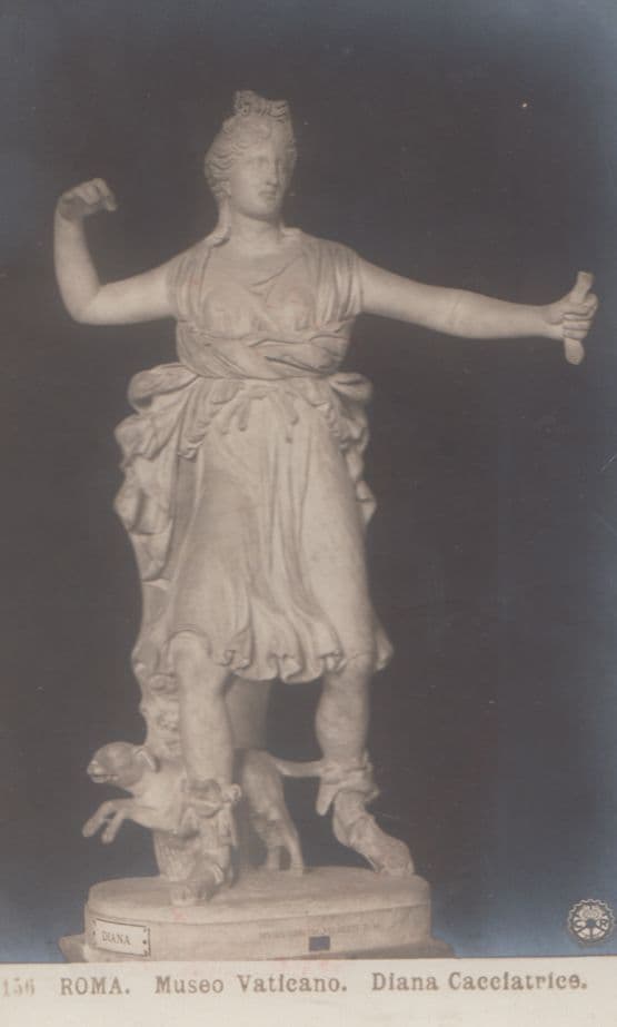 Statua di Diana Artemide Roma Museo Vaticano Italian Statue Sculpture Postcard