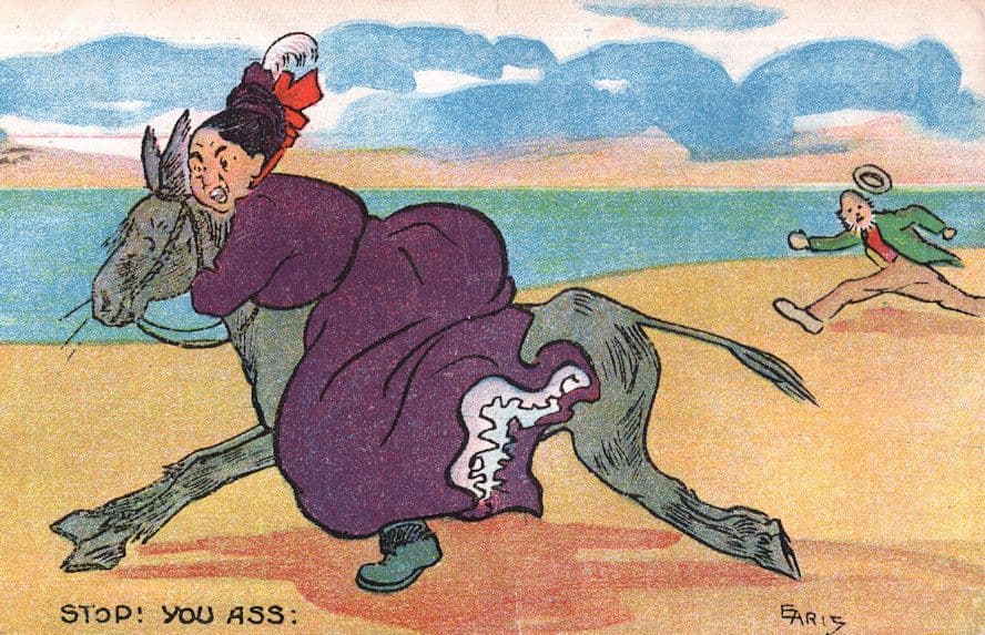 Stop You Ass !! Donkey Out Of Control Ride Old 1905 Comic Postcard