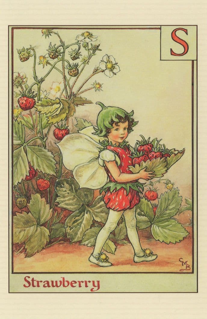 Strawberry Fruit Flower Fairy From 1930s Fairies Book Postcard