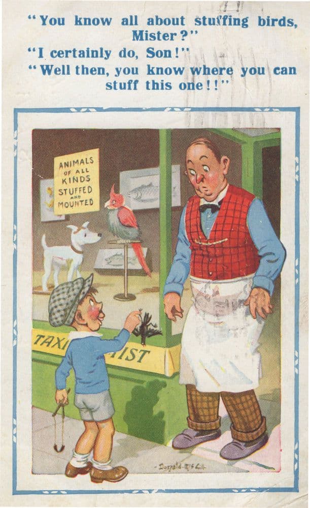 Stuffed Animal WW2 Pet Shop Comic Old Postcard