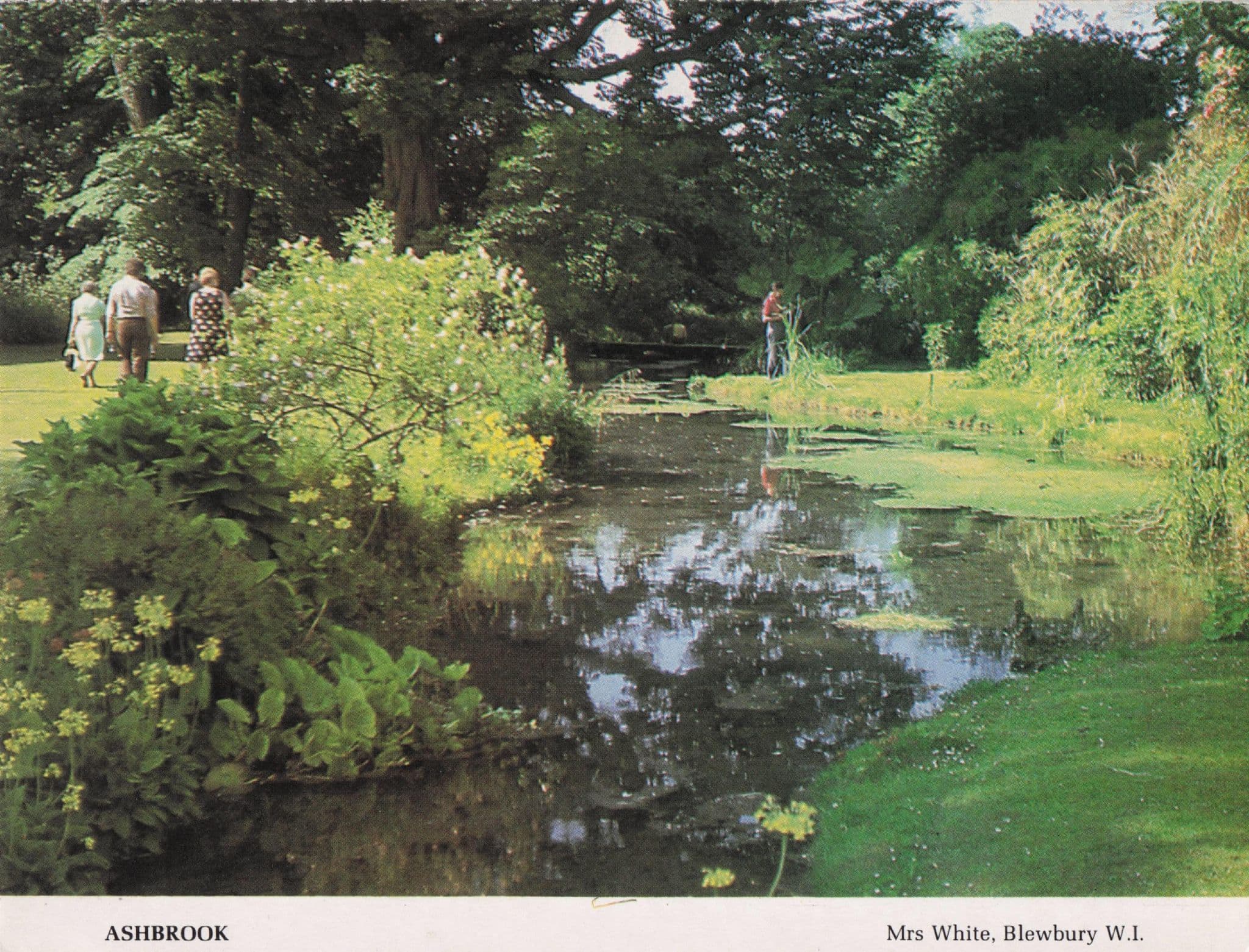 Summers Day At Ashbrook River Oxford Women's Institute Postcard