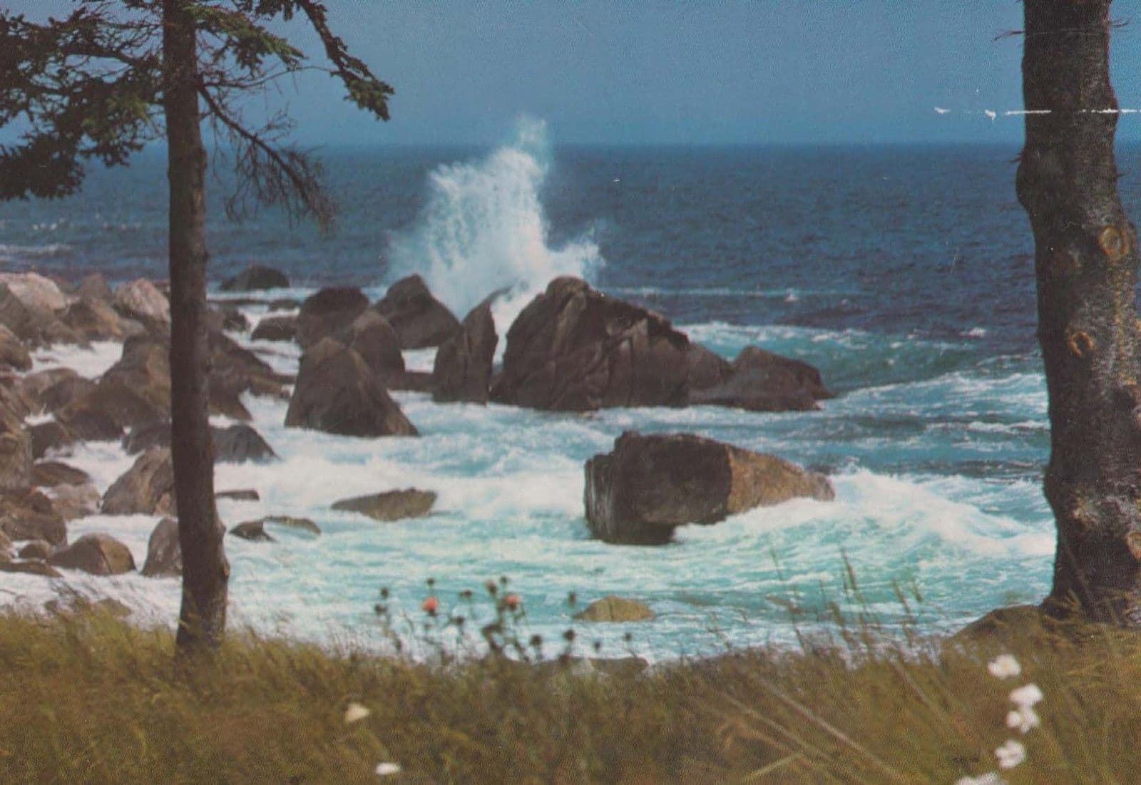 Summerville Coastline NS Canada Canadian Postcard