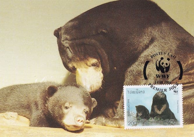 Sun Bear Ursus Malayanus WWF Rare Stamp First Day Cover Postcard