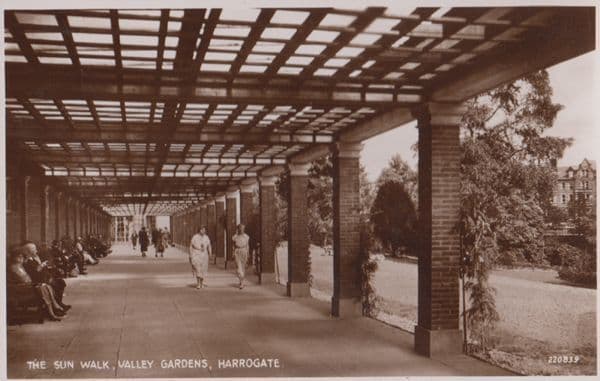 Sun Walk The Valley Gardens Harrogate Mint Real Photo Postcard