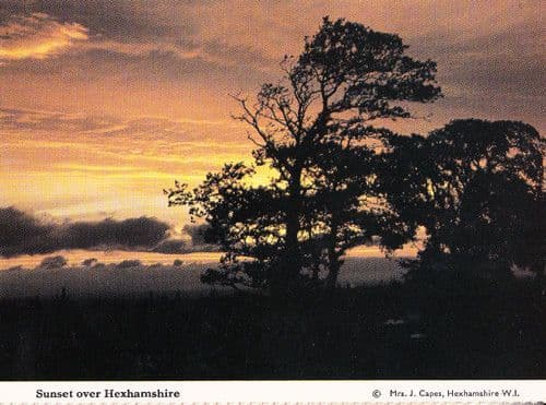 Sunset Over Hexhamshire Northumberland Womens Institute Rare Postcard