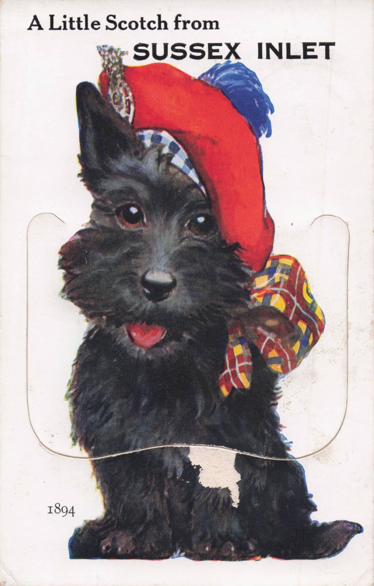 Sussex Inlet NSW Australia Military Dog RARE Old Mailing Novelty Postcard