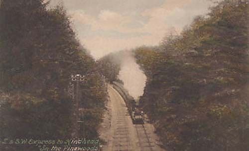 SW Express Surrey Hindhead To Pinewoods Antique Train Railway Postcard
