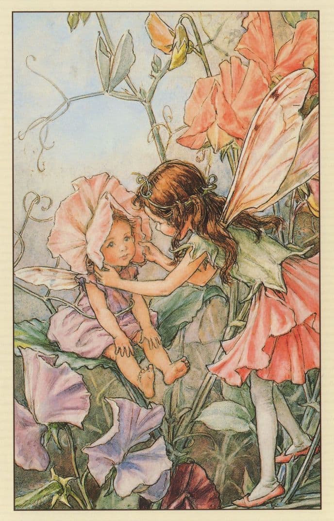 Sweet Pea Fairy From WW2 War Book Illustration Fairies Postcard