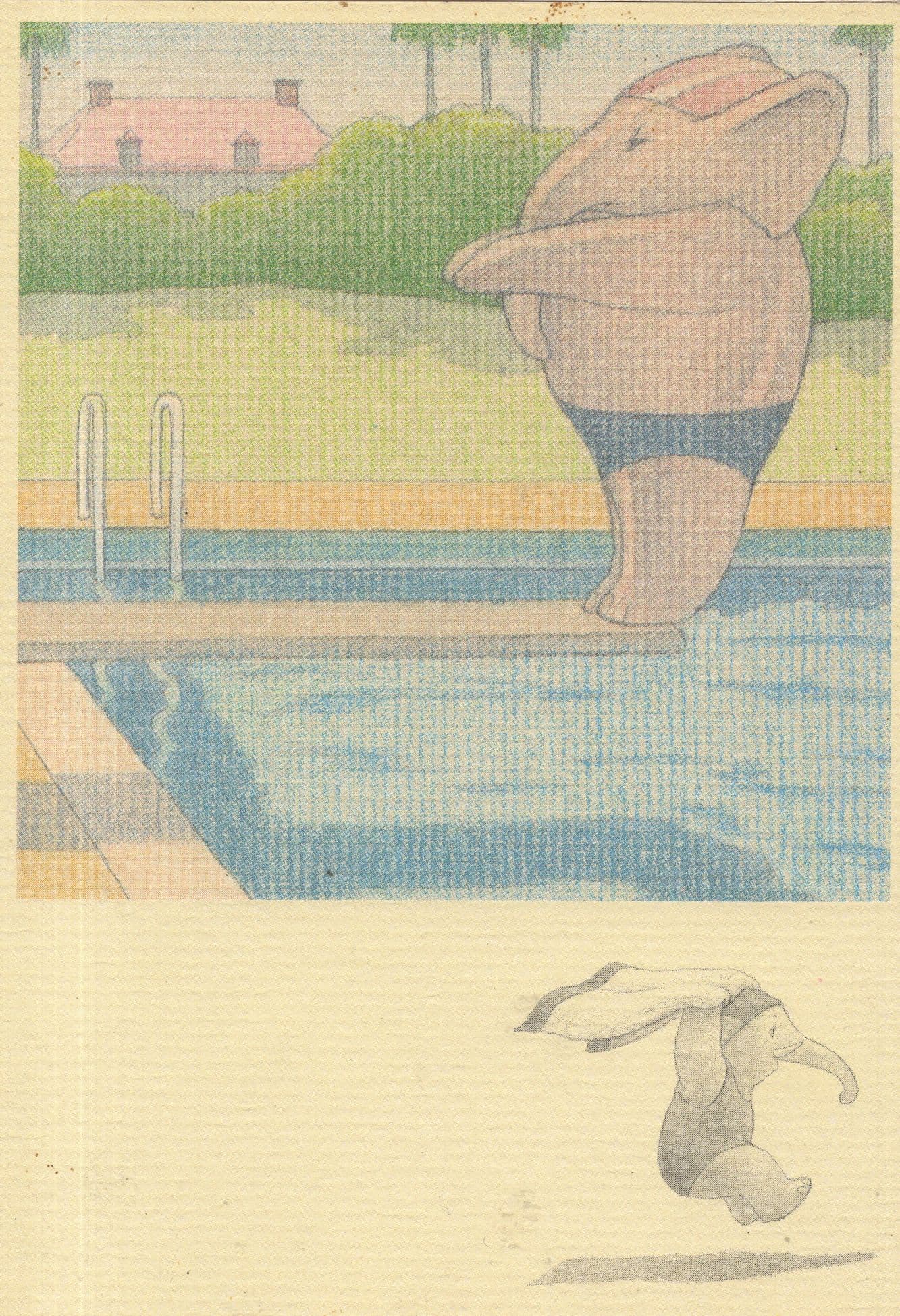 Swimmers Never Forget Elephants On Diving Board Swim Postcard