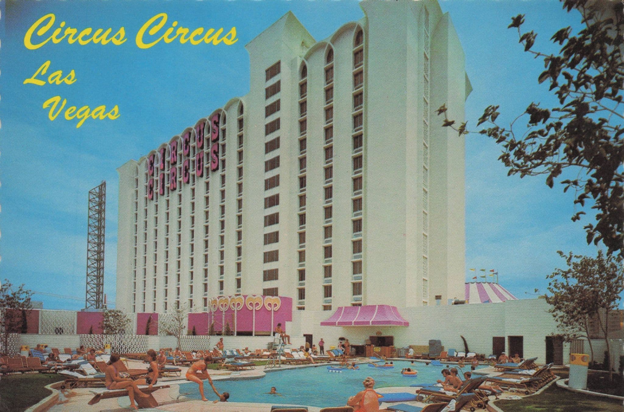 Swimming Pool Las Vegas Circus Rare Nevada Strip 1980s Postcard