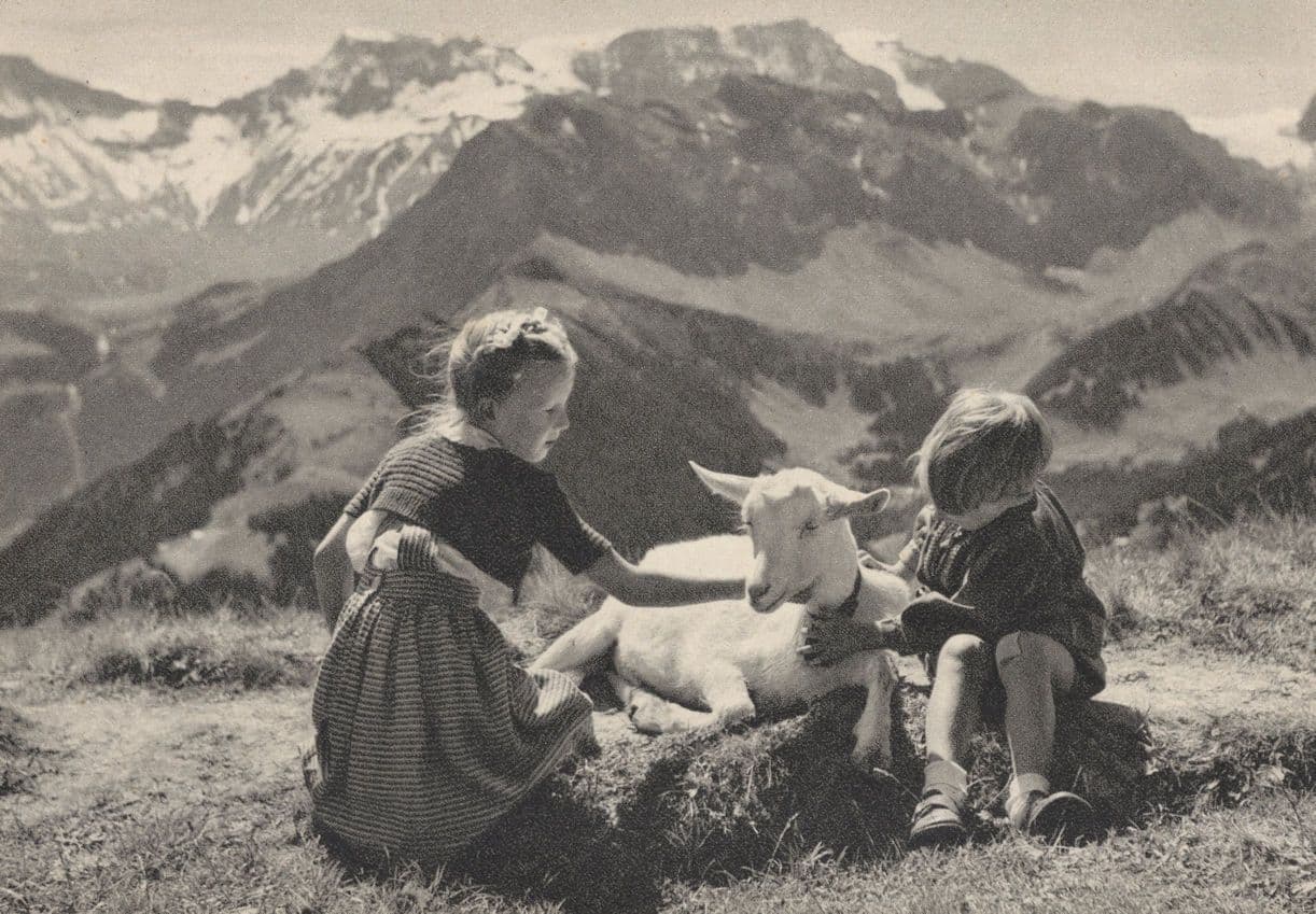 Swiss Children Playing With Goat Antique Switzerland Postcard