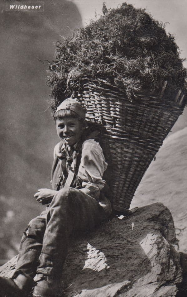 Switzerland Wildheuer Farming Farm Hay Making Antique Swiss Real Photo Postcard