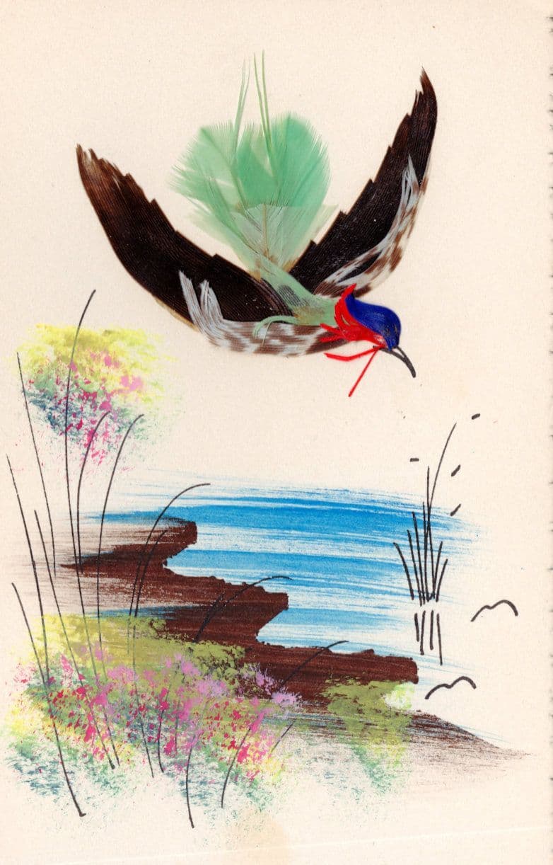 Swooping Bird & Worm by River Green Real Feathers Old Postcard