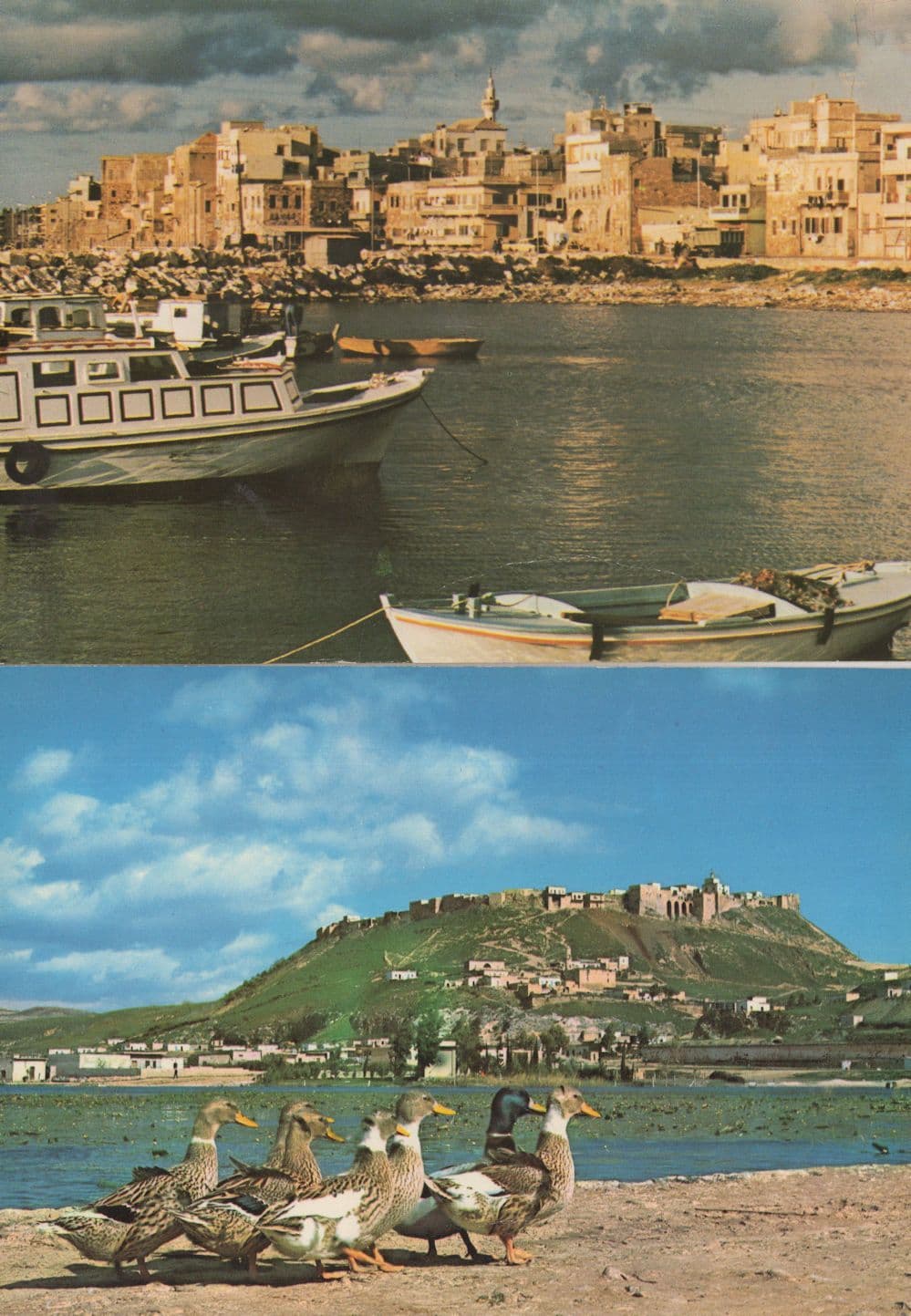 Syria Tartous Boats Harbour Fort Of Madik Birds 2x Postcard