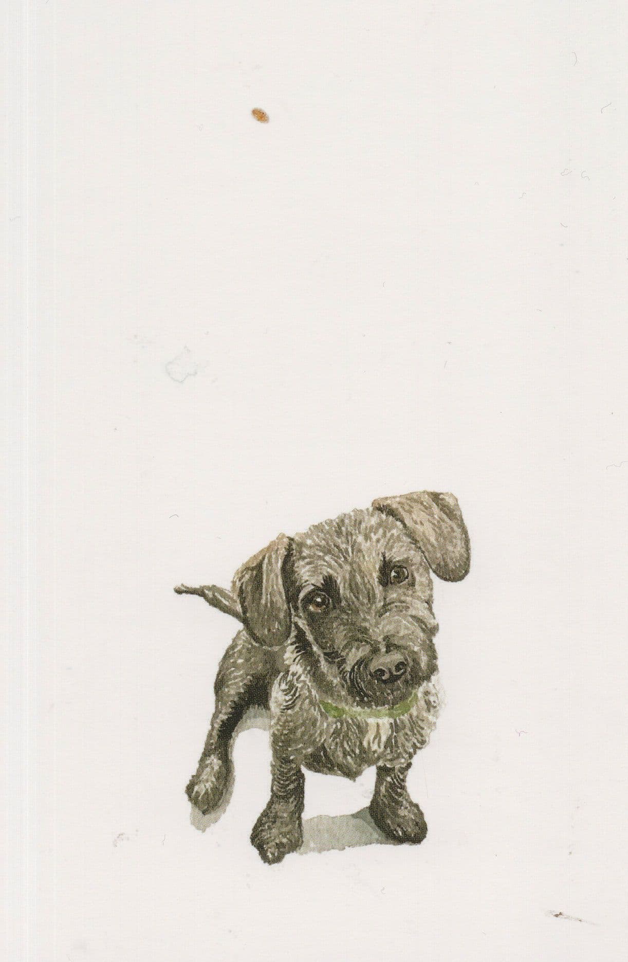 Take Pity On Me Tiny Sad Sorrowful Dog Painting Postcard