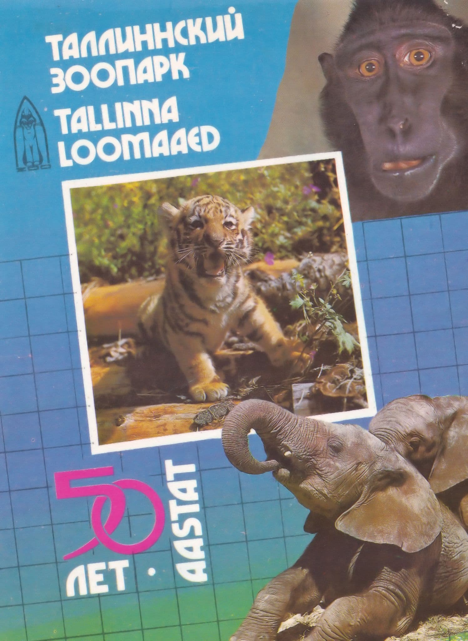 Tallinna Zoo Growling Baby Tiger Curious Ape Gorilla German Postcard