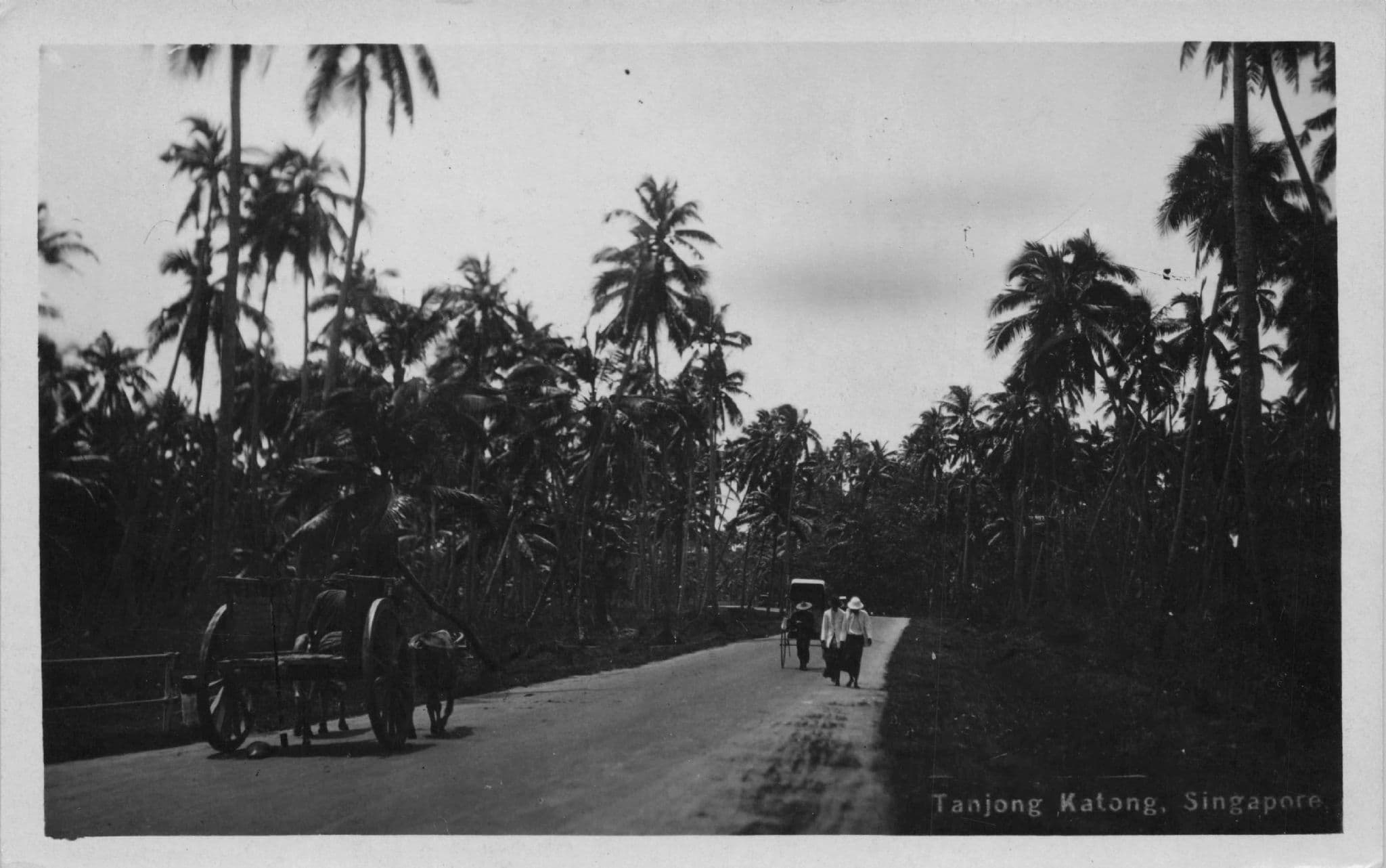Tanjong Katong Road Street Transport Singapore Old Real Photo Postcard