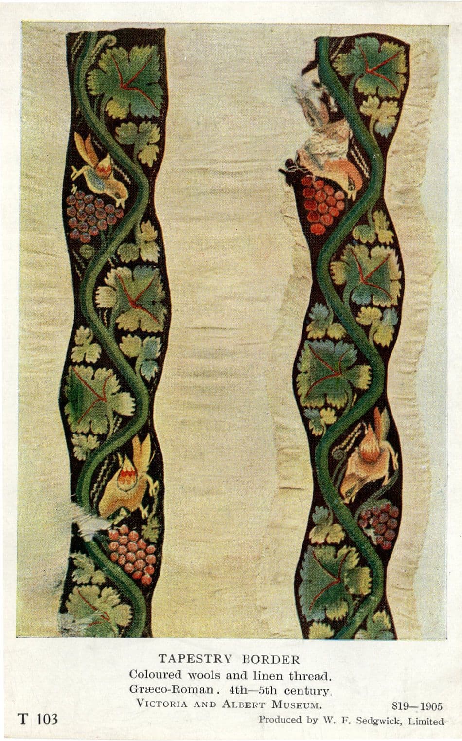 Tapestry Border Antique Embroidered Wool Linen Thread Roman Old Postcard