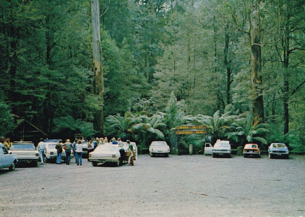 Tarra Valley National Park Car Parking Entrance South Gippsland Australia Postcard