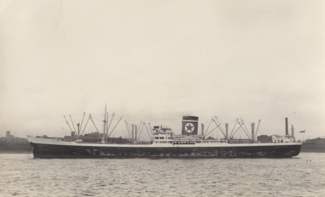 Tasmania Star Blue Lines Built 1950s Vintage Ship Photo