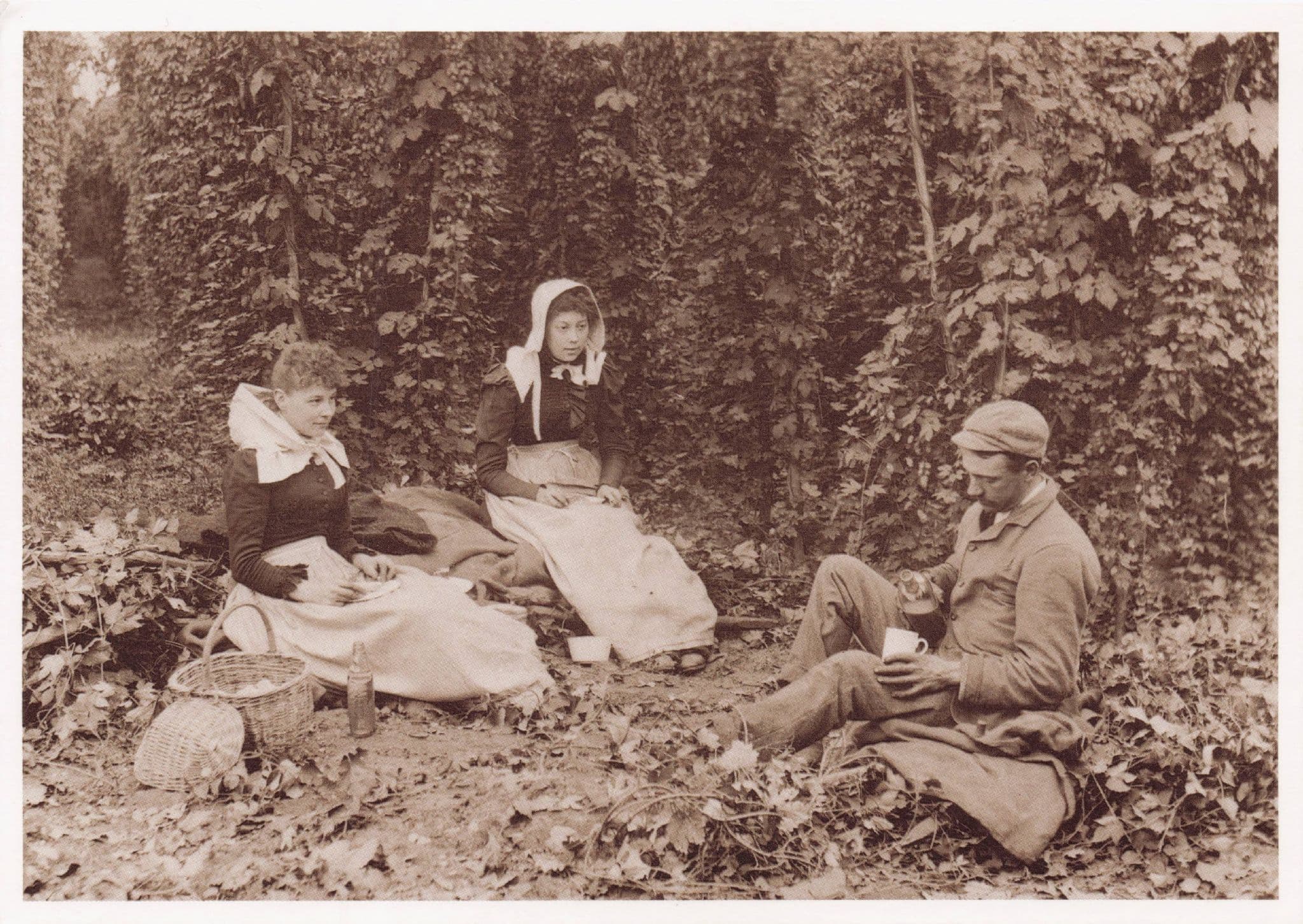 Tea Break In The Hop Garden Forest Fashion Sussex Rare Postcard