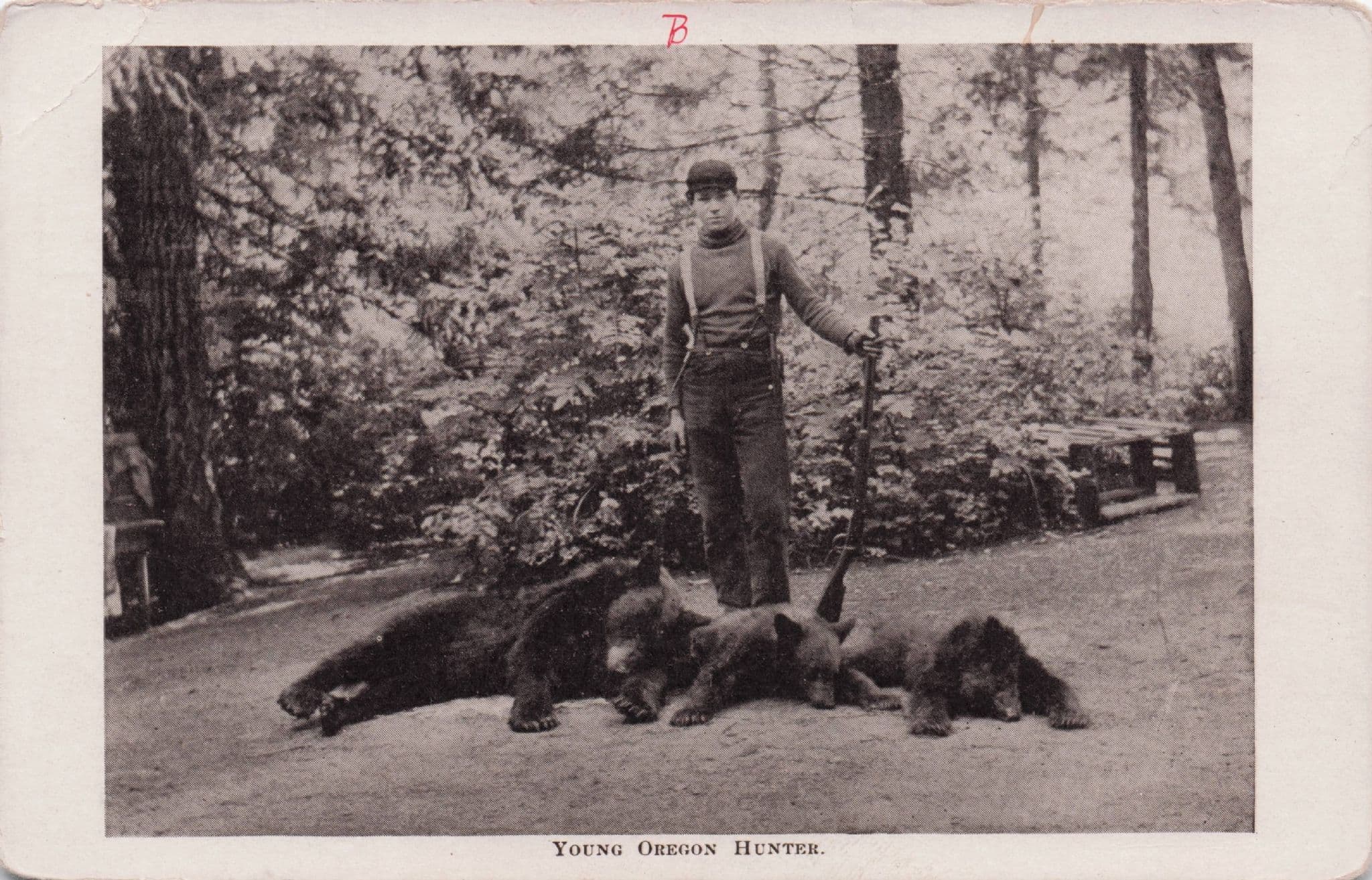 Teenage Oregon Young Bear Hunter American Antique Postcard