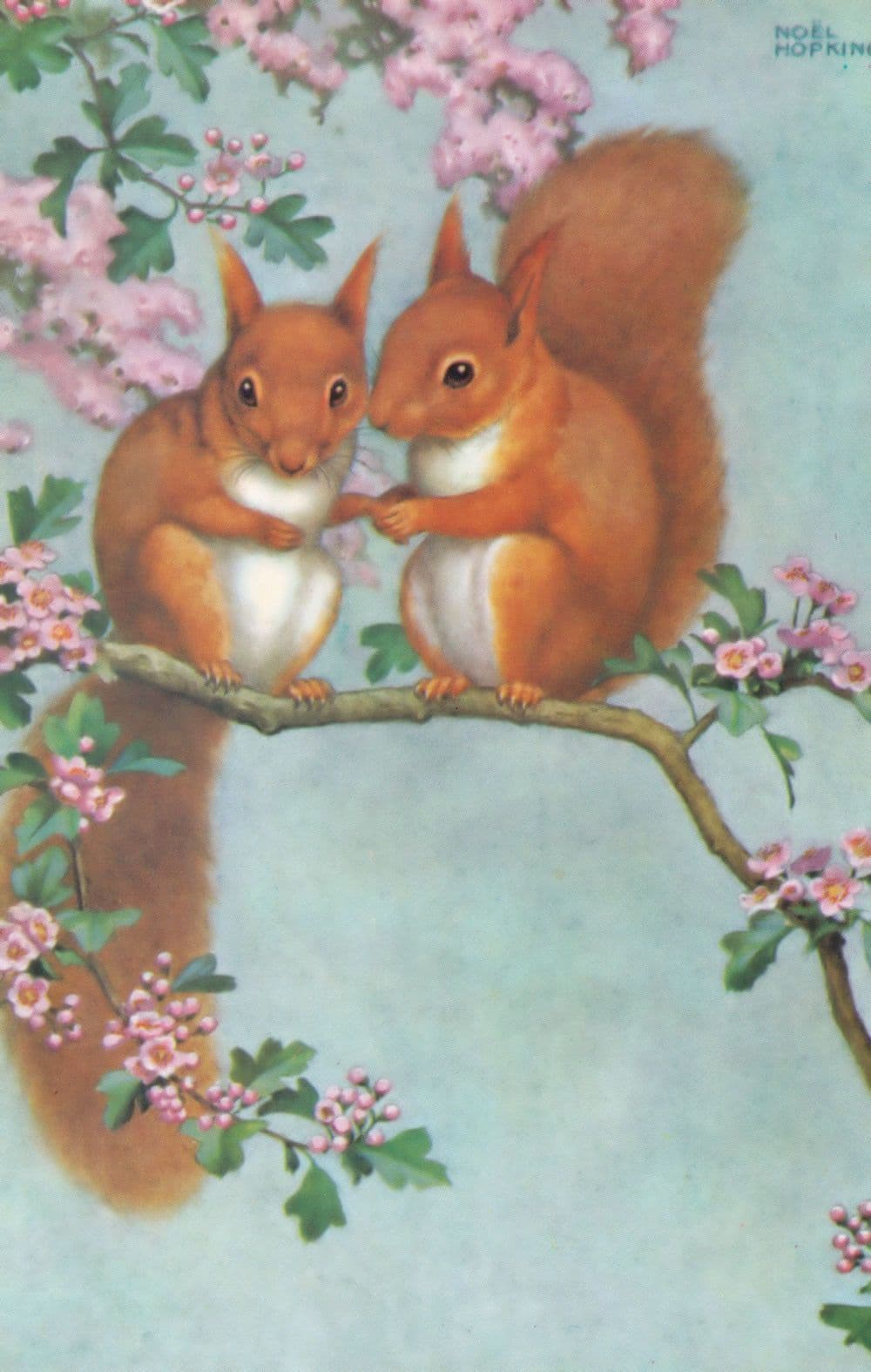 Tell Me A Tale Squirrels Storytelling Noel Hopking Medici Postcard
