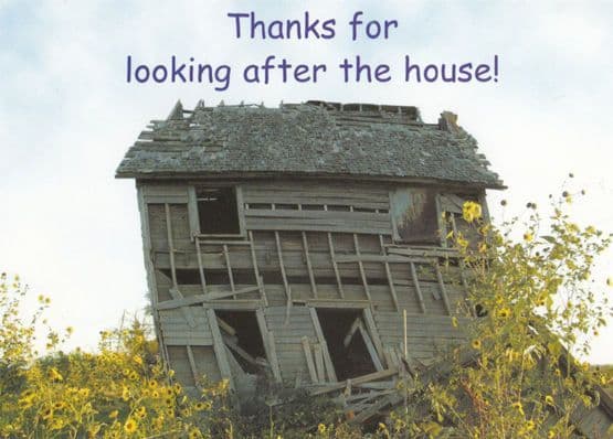 Thank You For Looking After My The House Disaster Comic Humour RPC Postcard