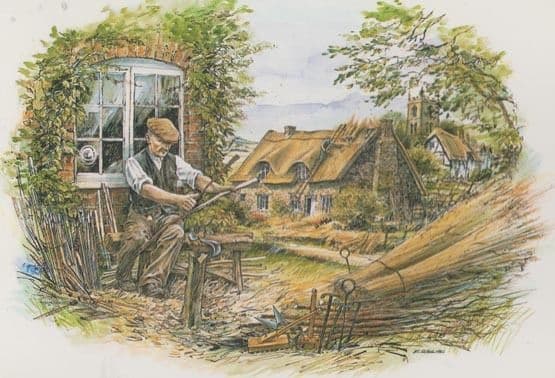 Thatch & Thatching Hazel Wood Splitting Postcard