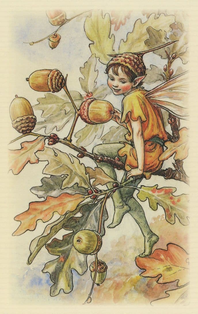 The Acorn Flower Fairy In Tree Antique Book Stunning Fairies Postcard
