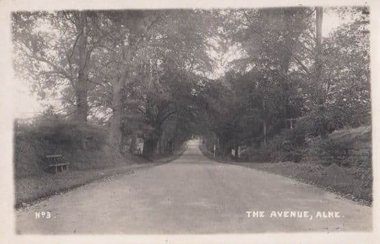 The Avenue Alne Yorkshire Easingwold Hambleton Region Antique Postcard