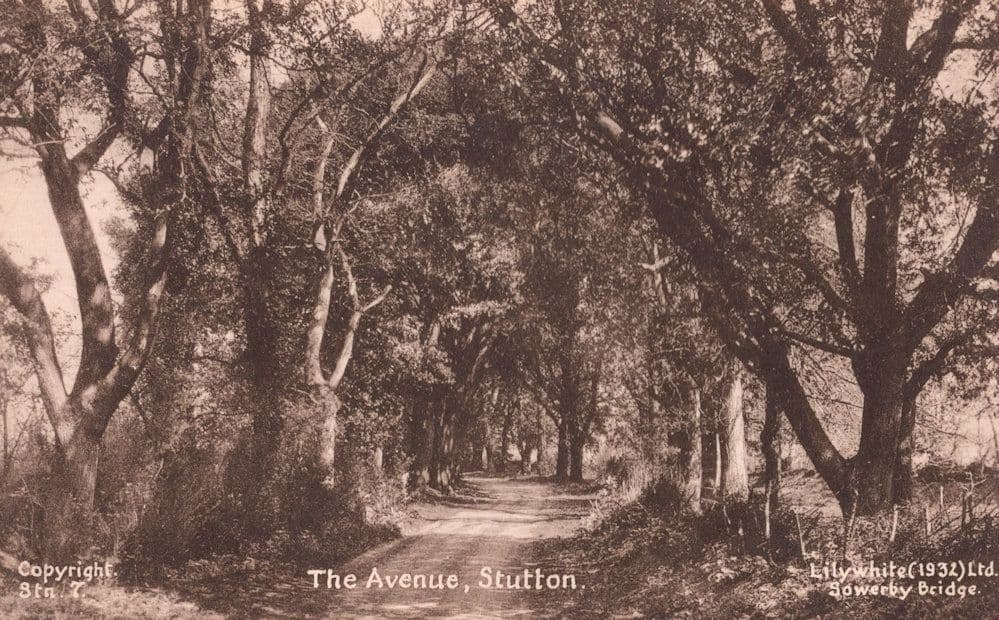 The Avenue Stutton Selby North Yorkshire Antique 1932 Postcard