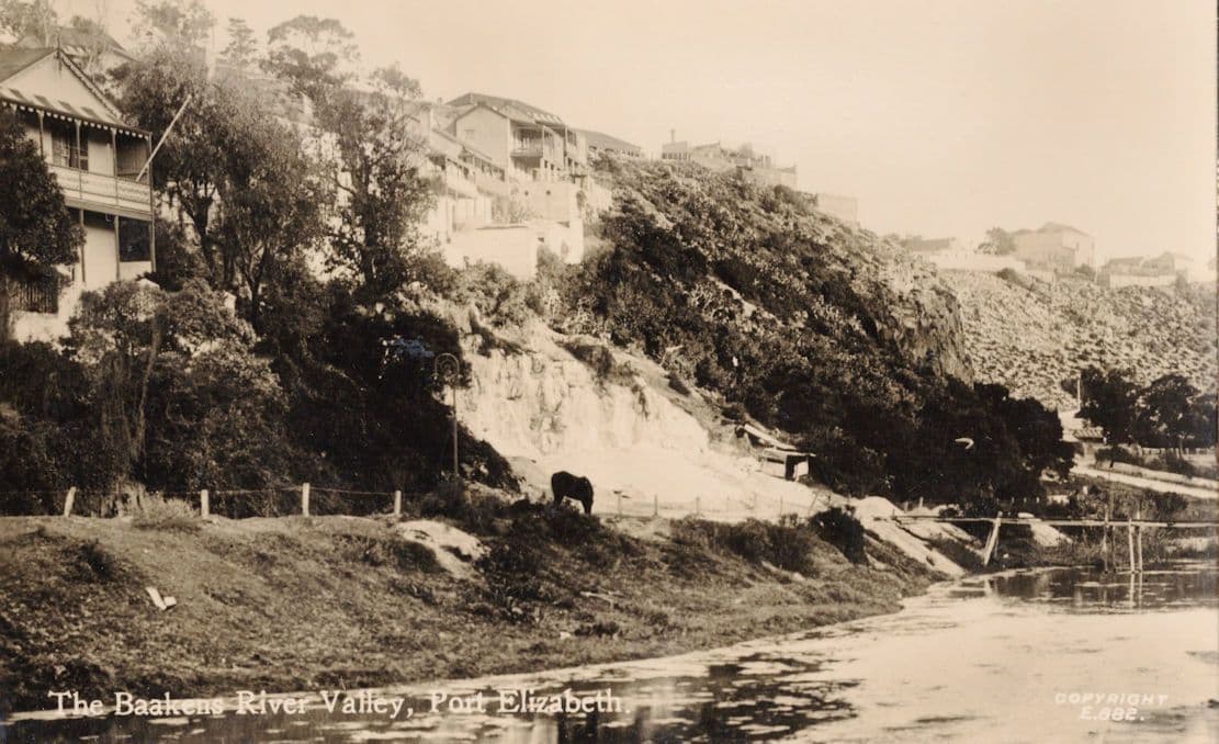 The Baakens River Valley Port Elizabeth South Africa RPC Postcard