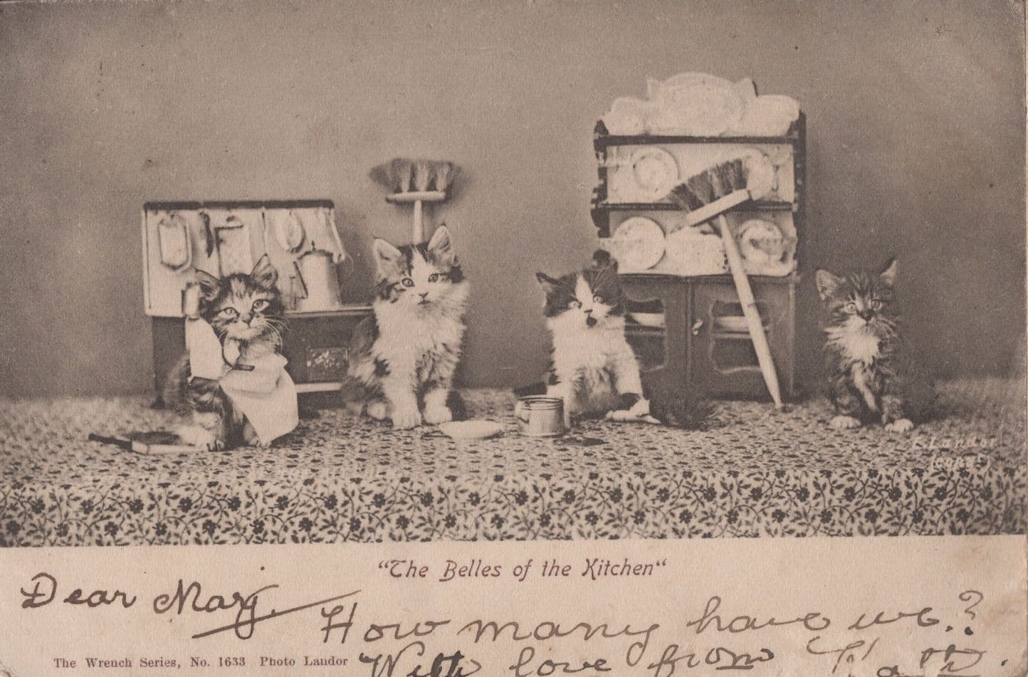 The Belles Of The Kitchen Cleaners Wrench Cat Series Postcard