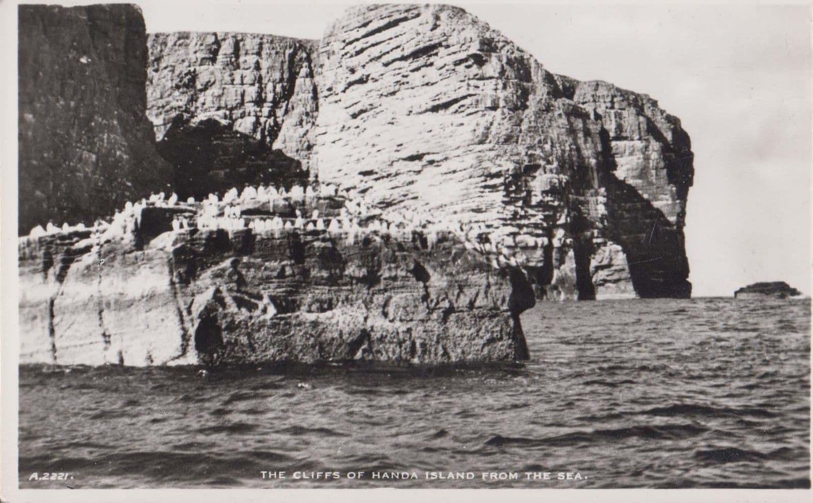 The Cliffs Of Handa Island Vintage Scottish Real Photo Postcard