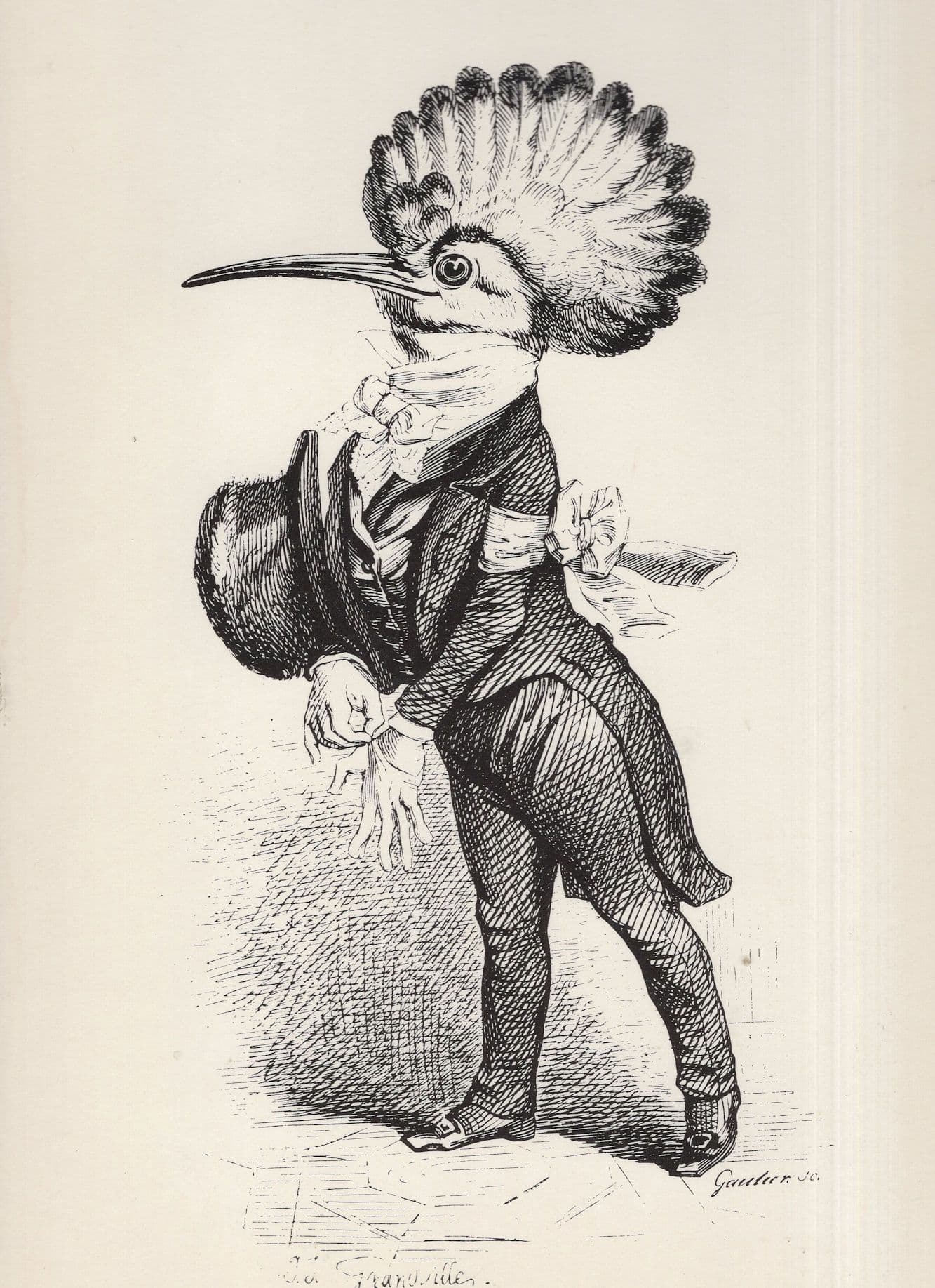 The Commissioner JJ Grandville Victorian French Illustrator Art Postcard