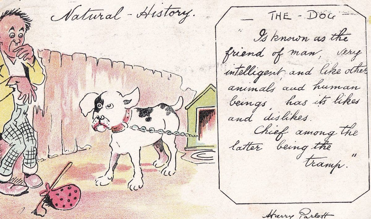 The Dog Is A Tramp Antique Comic Humour Postcard