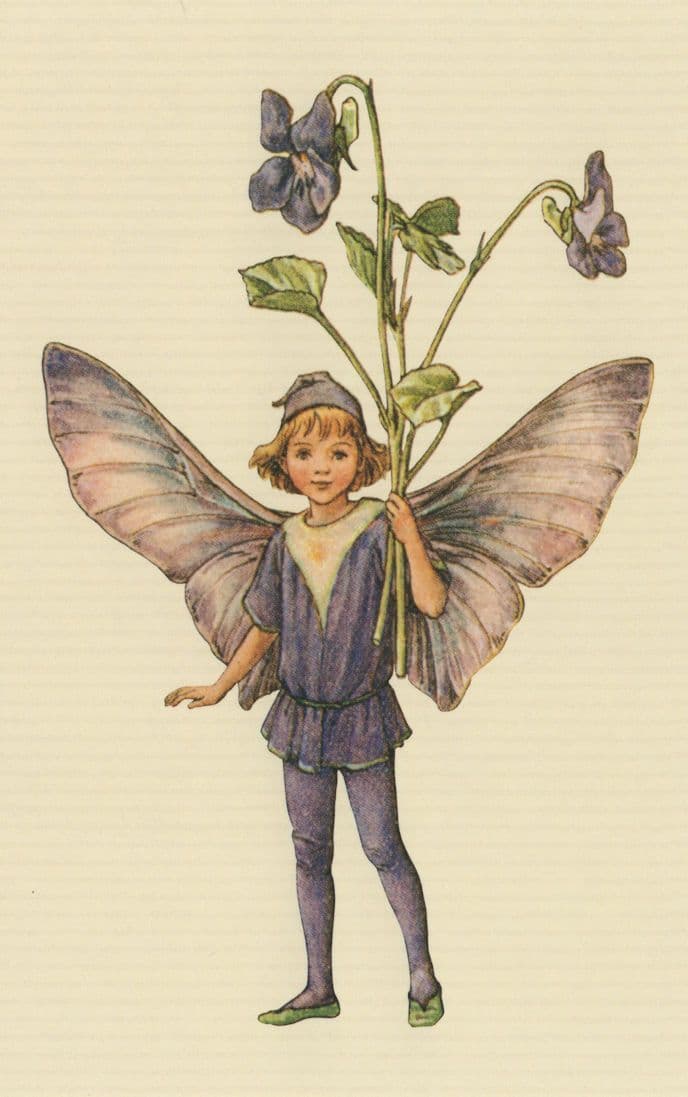 The Dog Violet Flower Fairy Old Book Stunning Fairies Postcard