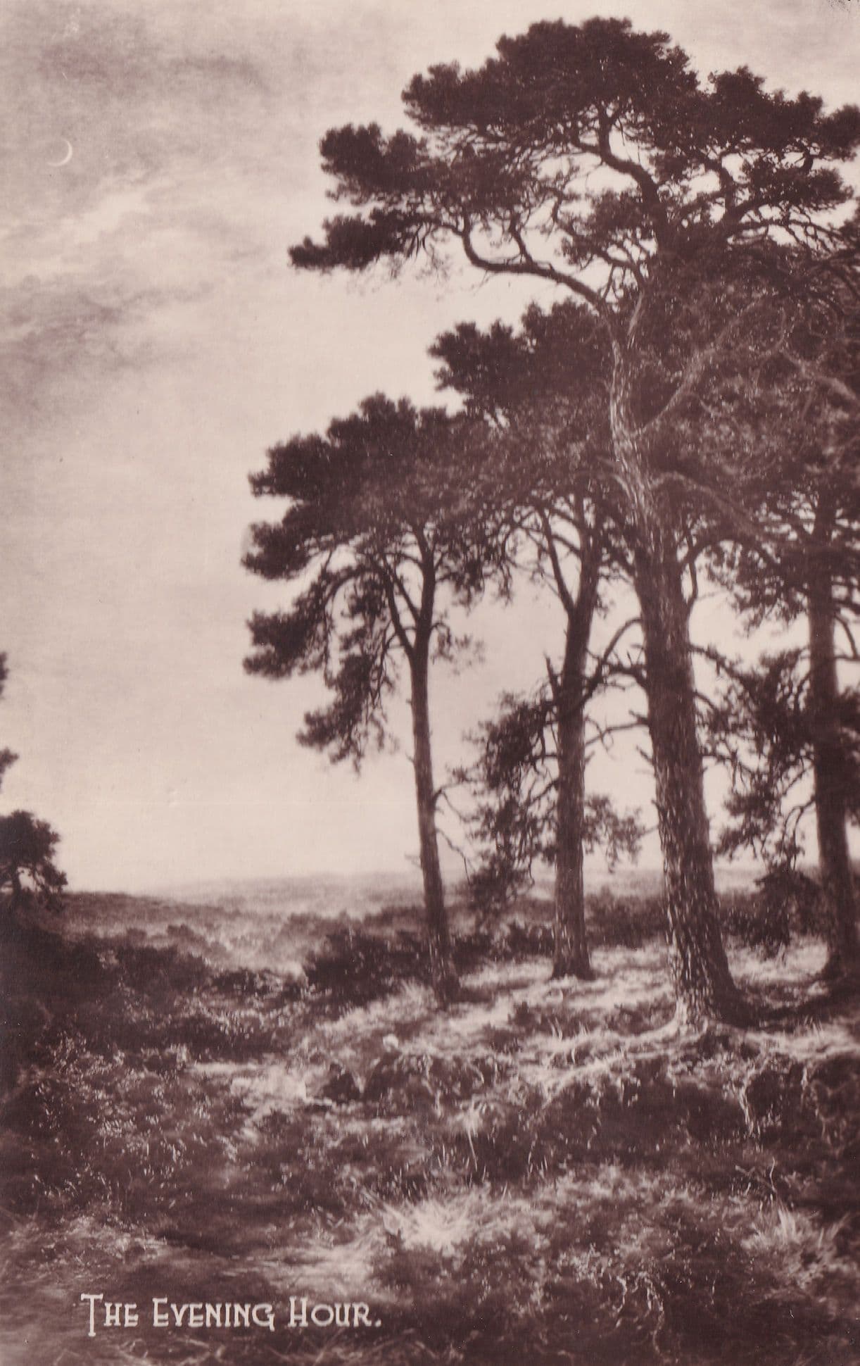 The Evening Hour BW Leader Painting Antique Postcard